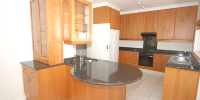 DSC_2096. - kitchen