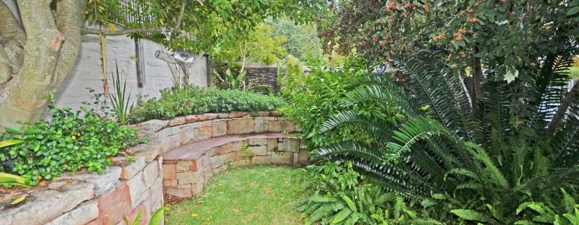 garden DSC_1850
