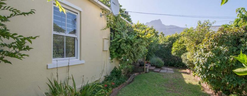 garden towards mountain