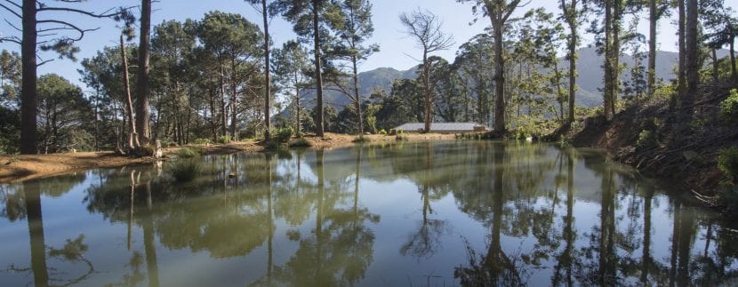 Houtbay 0577 Dam