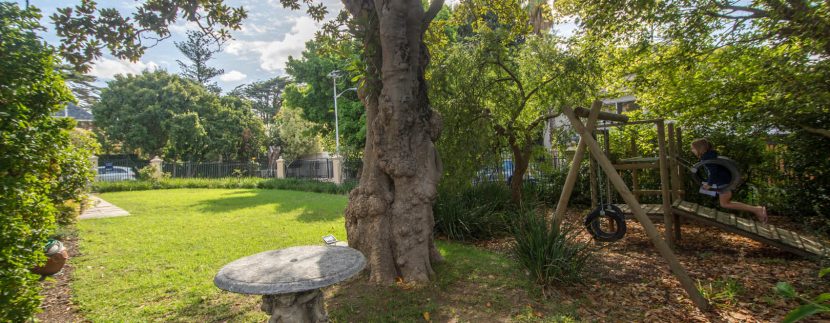 GARDEN AND JUNGLE GYM