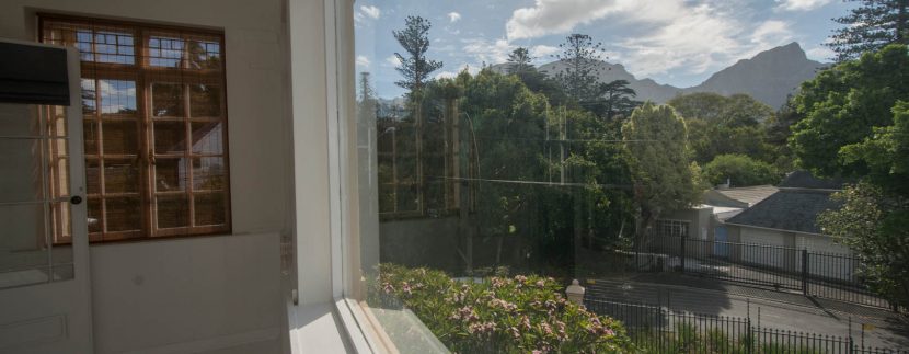 PATIO VIEWS_1